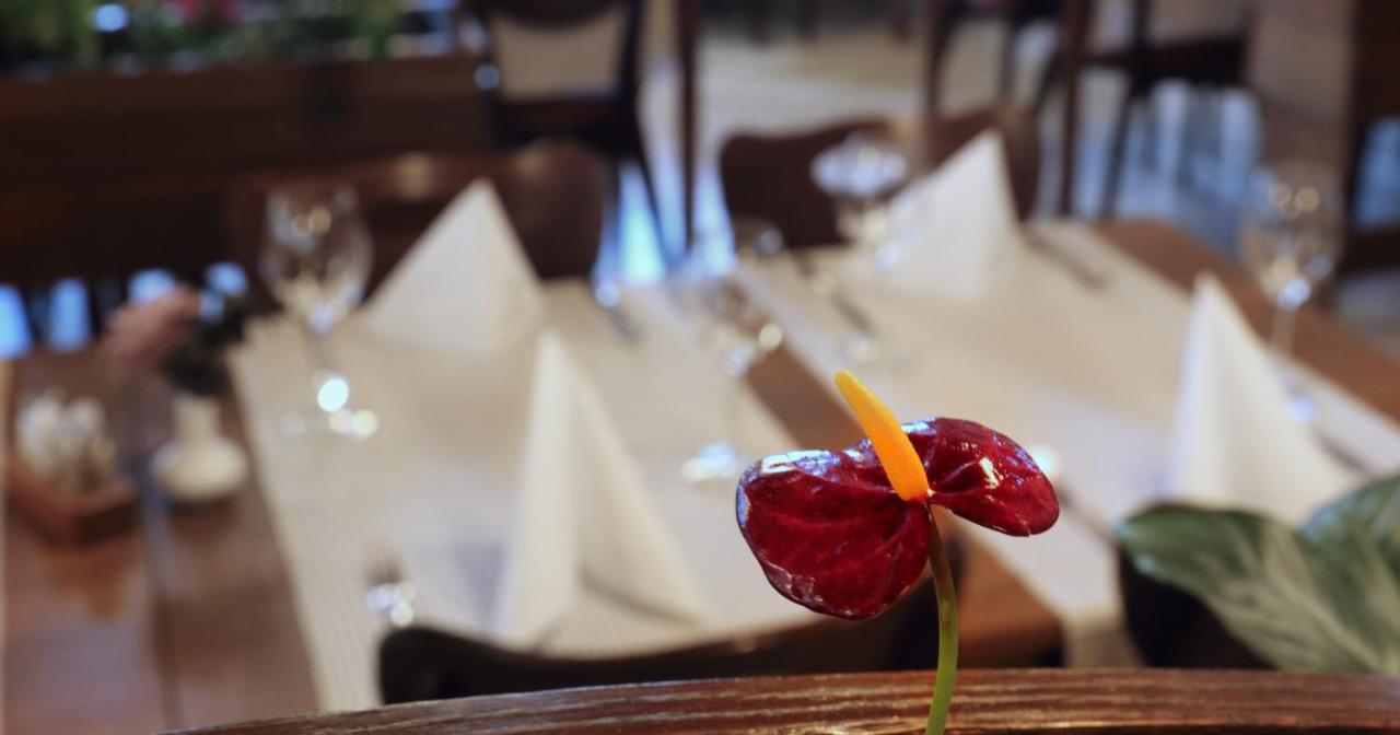 Hotel Tripic, Restaurant And Pizzeria Bohinj Zewnętrze zdjęcie
